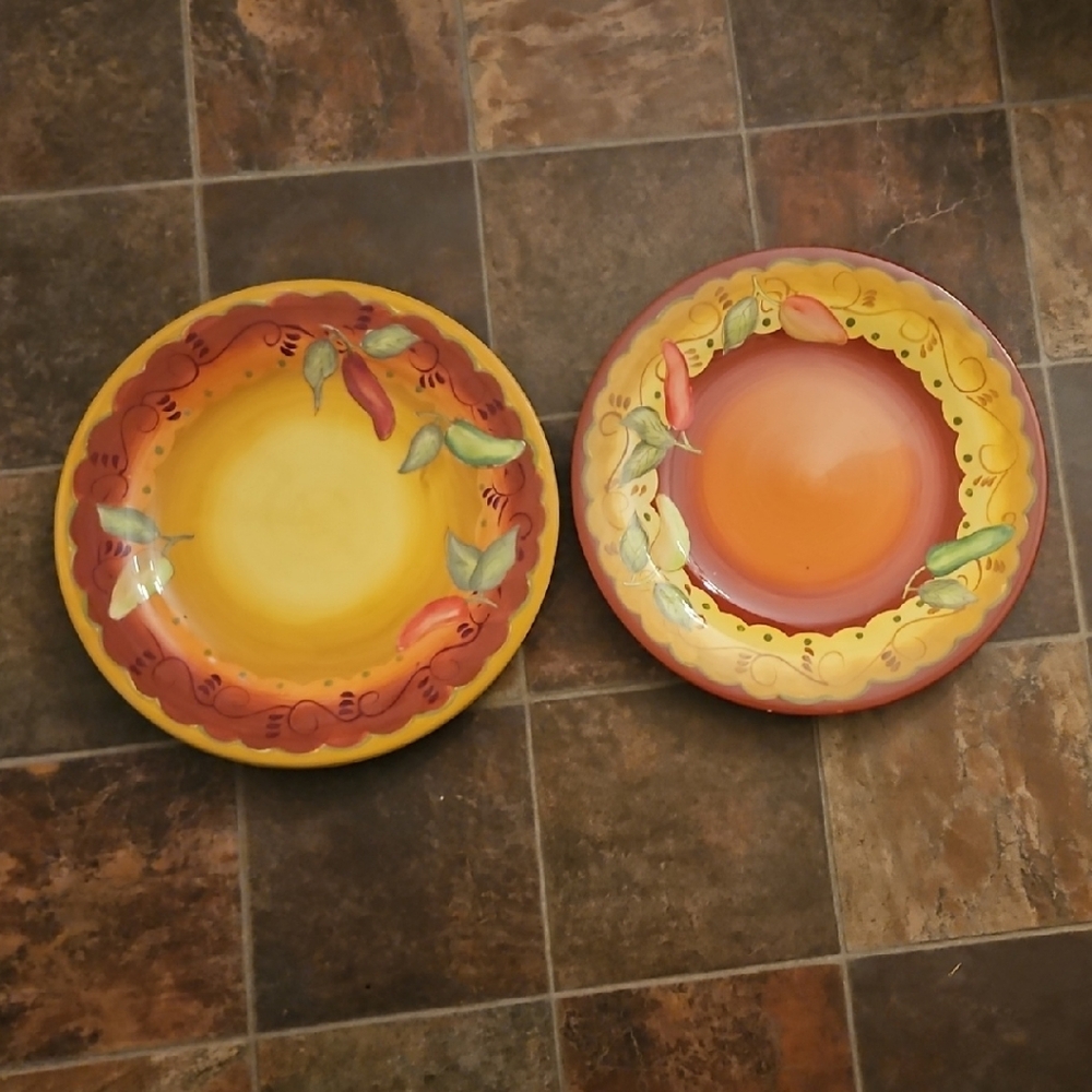 Laurie Gates Colorful Ceramic Dinner Plate Set of 4.  Two of Each 12 Inches